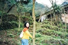 china13