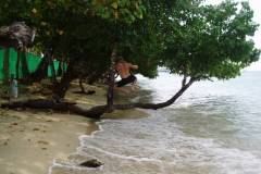 kochang2