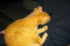 img_6819_std