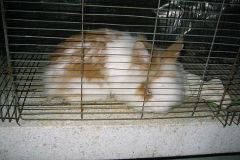 img_6841_std