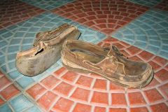 img_6846_std
