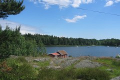 IMG_0563