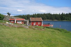 IMG_0564