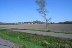 Summer2008